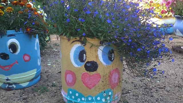 Скамейка. По краям цветники